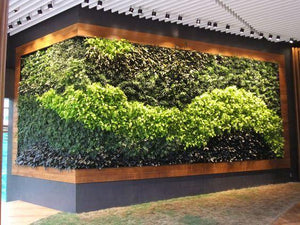 Vertical Landscaping Service - Midorie Singapore