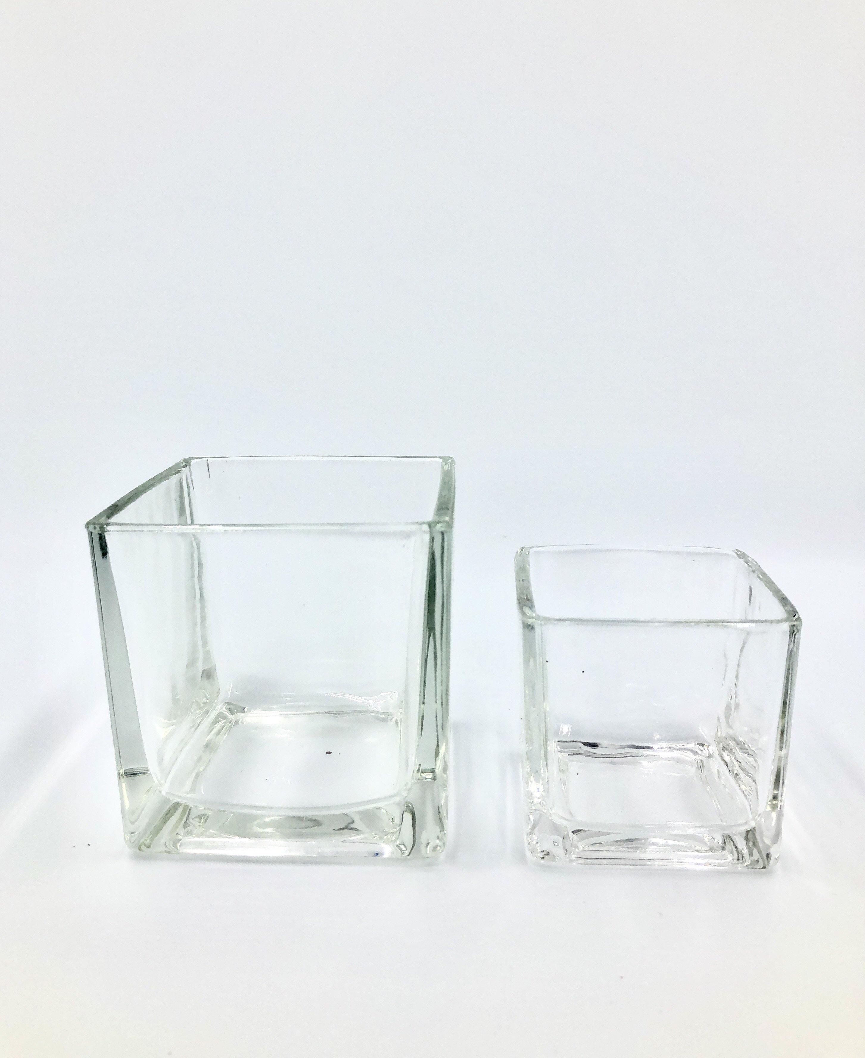 NEW STOCK Square Glass Pot (For S and M Pafcal) - Midorie Singapore
