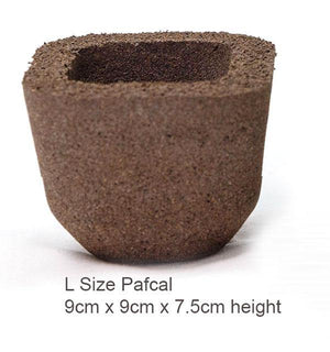 pafcal soilless growing media by midorie singapore